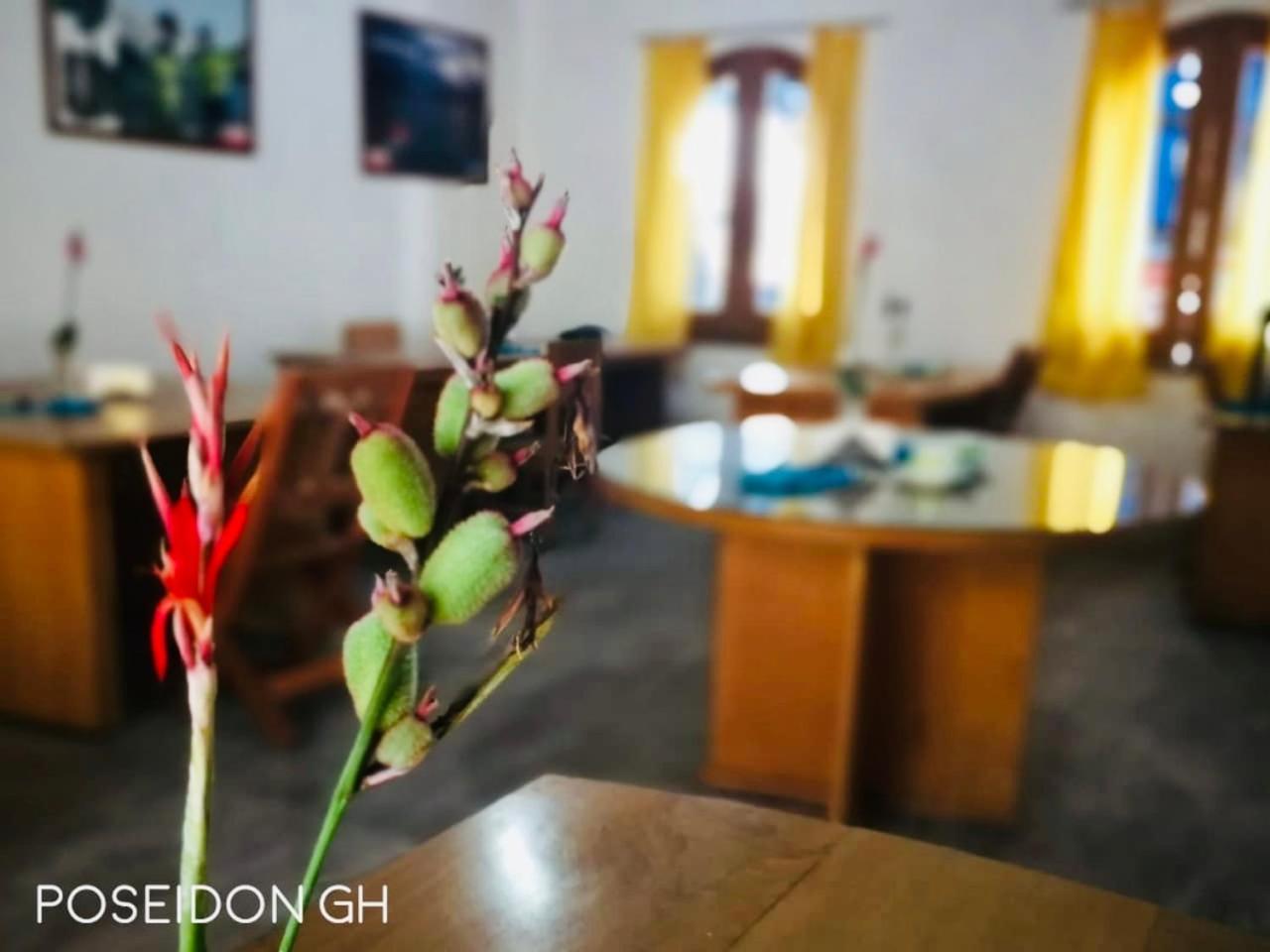 Poseidon Guest House Iquitos Eksteriør bilde